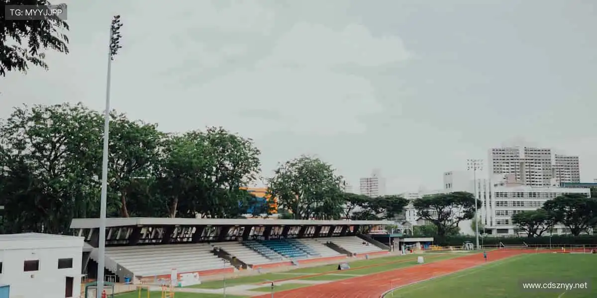 一键解锁赛事门票,畅享现场激情!